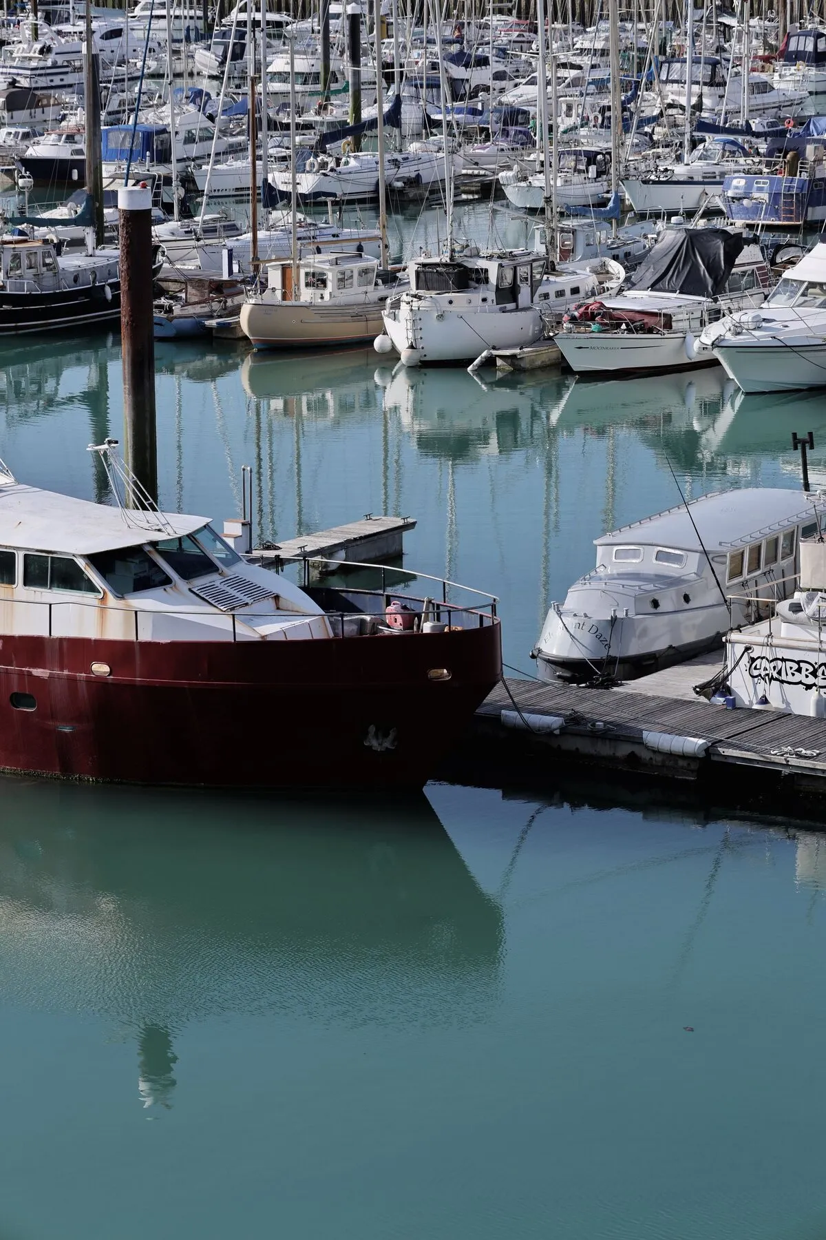 Motor yachts berthed side by side in a marina